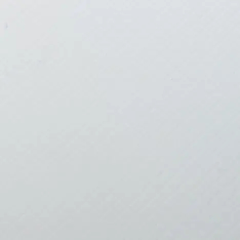 Конвейерная лента ПВХ пищевая BV/2 EF10 - S18+07 PVC white F OR 3.0 рабочая поверхность